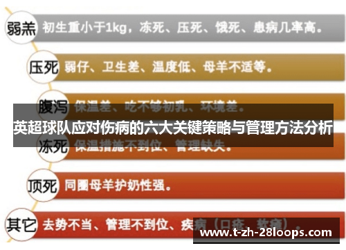 英超球队应对伤病的六大关键策略与管理方法分析