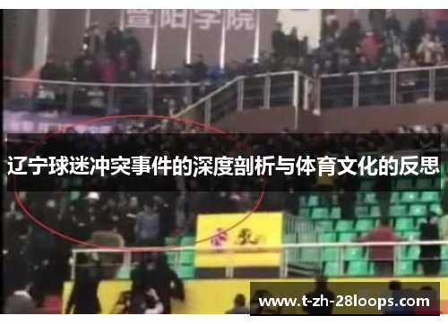 辽宁球迷冲突事件的深度剖析与体育文化的反思